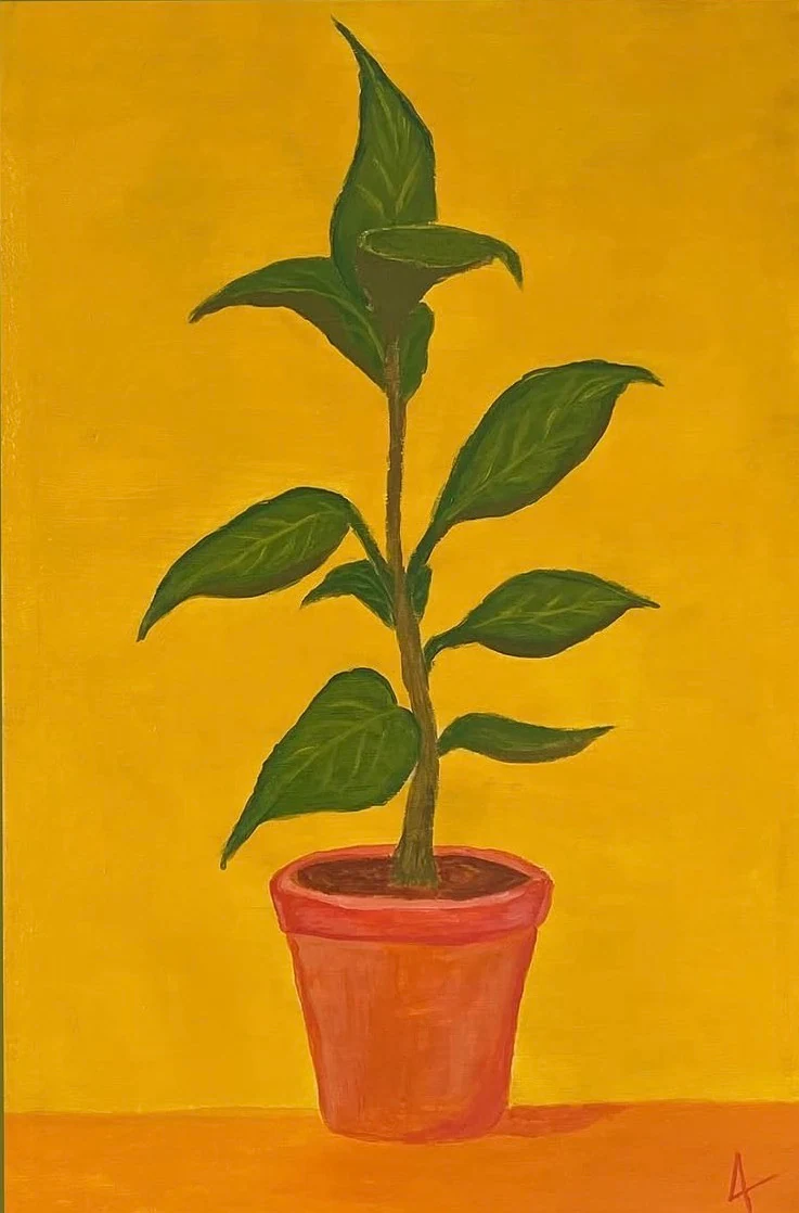 A green leafy plant in a red terracotta pot against a vivid yellow background.